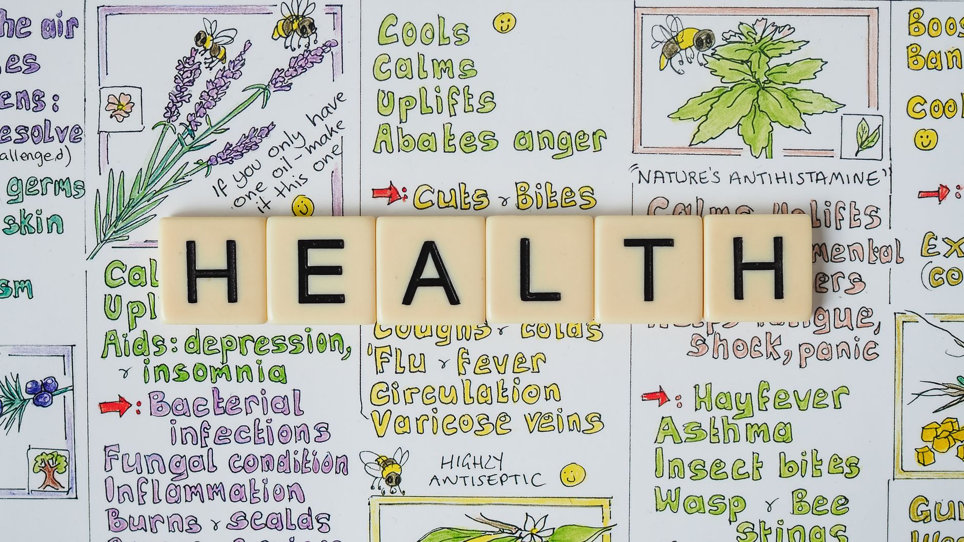 Creative representation of herbal health benefits using illustrated letter tiles spelling 'health'. — How Dr Kevin Ciresi Enh